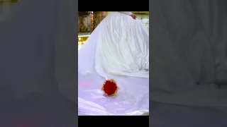 طلت فينا ست الكل  اغاني اعراس   عروس دندنها