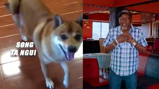 ta ngui by kamande wa kioi official video jsteps studios