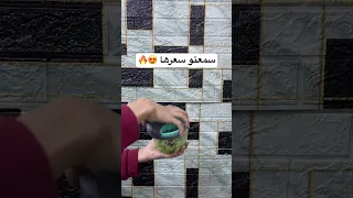 الكبه دي نينجا   وببلااااش    اكسبلور دندنها