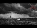 THREE DAYS GRACE - APOLOGIES | Lyrics