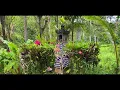 Download Lagu PENGENALAN LEMBAH CINTA