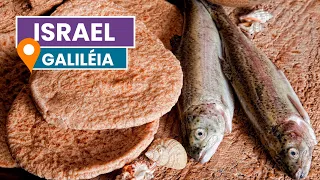 A MULTIPLICAÇÃO dos PÃES e PEIXES
