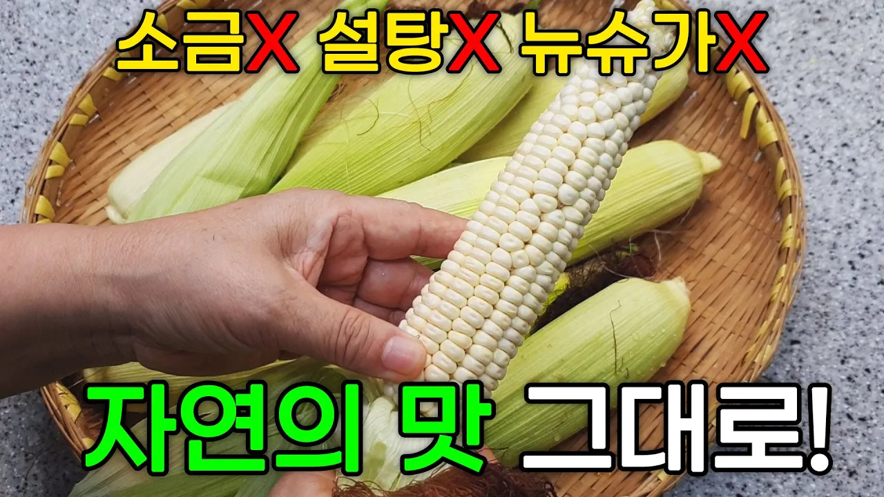 망에 쪄서 만드는 옥수수