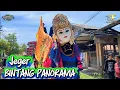 JEGER 🔴 BUROK BINTANG PANORAMA 🔴 ARAK ARAKAN SINGA DEPOK 