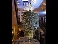 Should you turn your Christmas tree upside down