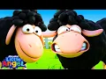 Download Lagu Baa Baa Black Sheep 1 | Little Angels Kids Cartoons/Songs \u0026 Nursery Rhymes