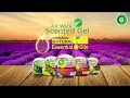 Download Lagu RB Air Wick Scented Gel with Essential Oils