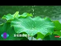 經典重現《心狠手辣》重演 ～ 江蕙 Jody Chiang 2025｜江蕙經典重現・懷舊旋律與新時代音色的完美融合 Taiwanese Pop, Hokkien Love Songs