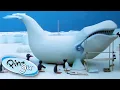 Download Lagu Pingu and the Giant Ice Whale! | Pingu Official | 1 Hour | Cartoons for Kids