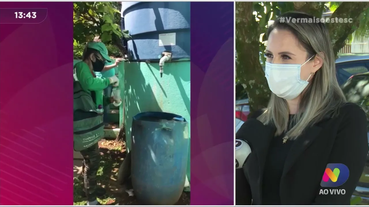 Cuidado com a dengue! Números de casos e focos do mosquito preocupam em Chapecó