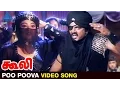Download Lagu Coolie Tamil Movie Songs HD | Poo Poova Video Song | Sarathkumar | Meena | Pyramid Glitz Music