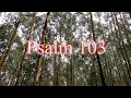 A reading of Psalm 103 from the New Living Translation