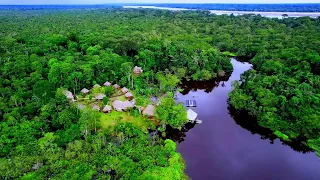 desa di pedalaman amazon simfoni alam yang menenangkan