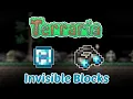 Terraria NEW Invisible Echo Blocks