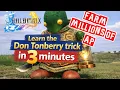 FFX Don Tonberry AP Trick Guide - MAX AP Fast Under 5 Minutes