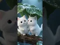 Download Lagu 🌧️...☔---🏞️...🐈