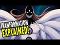 Download Lagu Kubo Reveals the True Meaning Behind Aizen’s Transformations!
