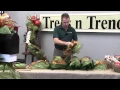 How To Decorate A Mailbox for Christmas - Trees n Trends
