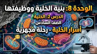 الوحدة  بنية الخلية ووظيفتها   أسرار الخلية  رحلة مجهرية  علوم   الصف السادس الفصل الدراسي الثالث دندنها