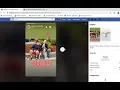 Facebook Stories - Walton County Animal Shelter