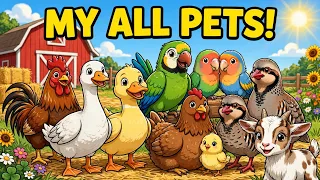 My Beautiful Mini Farm - Parrot,Lovebirds, Rooster,Chakor,Goat,Rabbit,Goose & Guineafowl