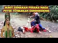 Download Lagu LAMPUNG SPIRITUAL ✅ OMPONG \u0026 JAROT TUMBANGKAN  HANYUTKAN GONDOSUKMO