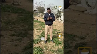 تجمع الخان الأحمر.. صمود فلسطيني في وجه الاحتلال ومستوطنيه
