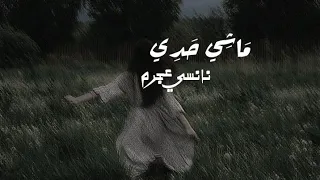 نانسي عجرم ماشي حدي  بدون موسيقى   دندنها