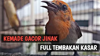 kemade gacor jinak full tembakan kasar
