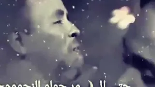 حالات واتساب محمود عبد العزيز و نادر خضر انساك 