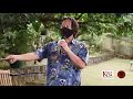 14th Annual Southern California Slack Key Festival (Full Version!)