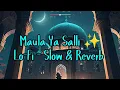 Muza - Maula Ya Salli (Visualizer) Lo-Fi - Slow \u0026 Reverb 2025