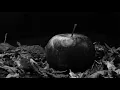 Alice In Chains - Rotten Apple (Slowed and Reverb)
