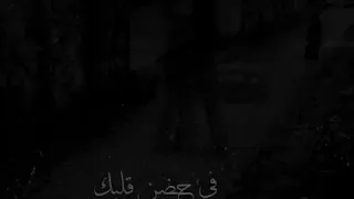  حالات فديوهات رومانسيه مستحيل استغني عنك رومنسيه حالات حب امال ماهر دندنها