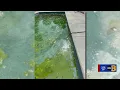 It s just a horrible situation Failed pool installations cost homeowners thousands