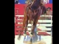 Download Lagu BETO PEREIRA - A Filha do Rei do Gado