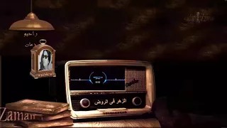 أم كلثوم الزهر فى الروض ابتسم 