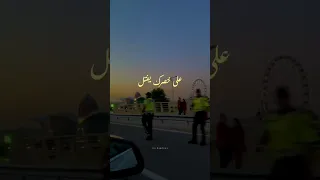 قوليلي بحبكك كتير غمريني الشامي ياكل دنيا 
