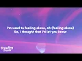 Lizzo - Special (feat. SZA) (Lyrics) "Incase nobody told you today, you're special"
