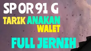 suara burung walet original mp3 tarik anakan walet