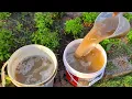 Download Lagu Zero Cost, No Chemicals: These Microbes-rich Liquid Makes Plants Grow CRAZY!