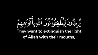 يريدون ليطفئوا نور الله بأفواههم والله متم نوره ولو كره الكافرون شاشة سوداء ياسر الدوسري 