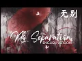 No Separation (Wu Bie 无别) English Cover - Heaven Official's Blessing / Tian Guan Ci Fu 天官赐福