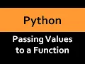 Passing Values to a Function in Python