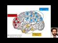Interictal stereotactic-EEG functional connectivity in refractory focal epilepsies
