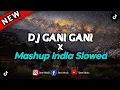 DJ Gani Gani x Mashup India Slowed (DJ Lloyd Drop Remix 2k24)