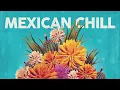 Download Lagu Mexican Chill 🌵 Cool Music 🌵