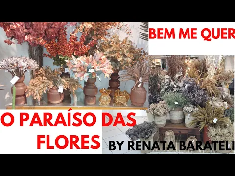 Download MP3 O PARAÍSO DAS PLANTAS/ACHADINHOS DE PLANTAS ARTIFICIAIS/BEM ME QUER/PORTO FERREIRA/A PERUA CHEGOOU!!