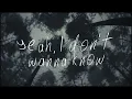 Mt. Joy \u0026 Gigi Perez | In The Middle (Official Lyric Video)