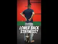 How to SELF MASSAGE your Lower Back